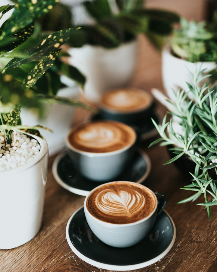 Cafe and dining